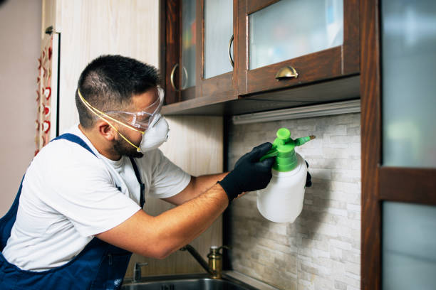 Best Wildlife Control Services  in Portsmouth, OH