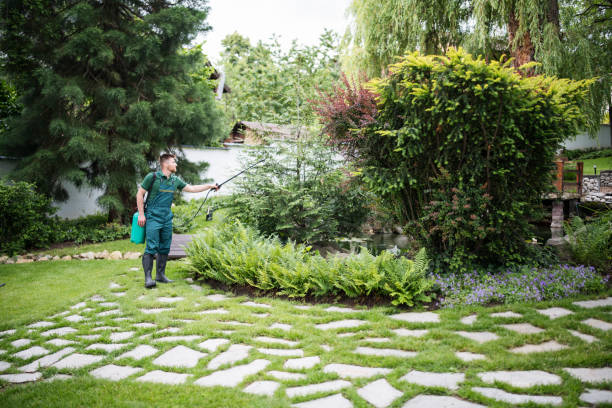 Best Wasp Removal Services  in Portsmouth, OH