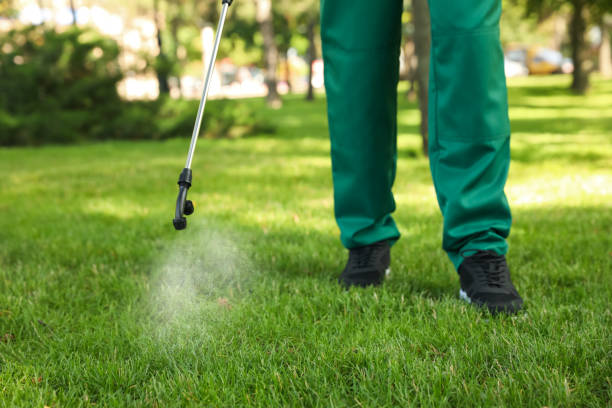 Best Mosquito Control Services  in Portsmouth, OH