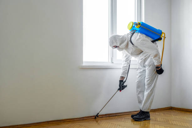 Best Emergency Pest Control  in Portsmouth, OH