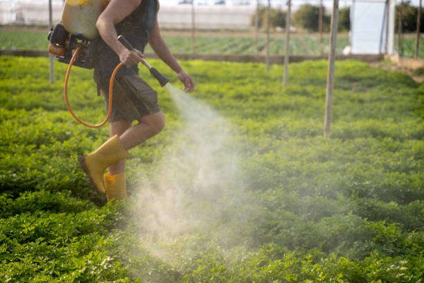 Best Ant Control Services  in Portsmouth, OH