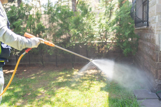 Best Best Pest Control Companies  in Portsmouth, OH
